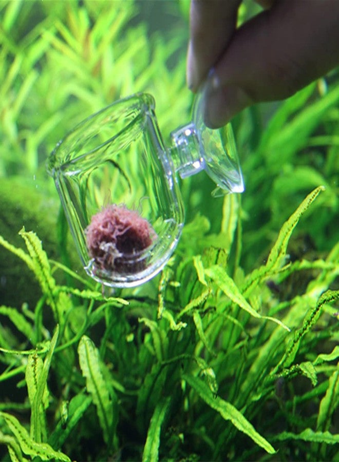 Caylingdee Glass Aquarium Red Worm Fish Feeder Cone Feeder Red Worm Fish Tank Plant Shrimp Feeder Cup Fish Feeding Cup with Suction for Aquarium Fish Tank - Image 4